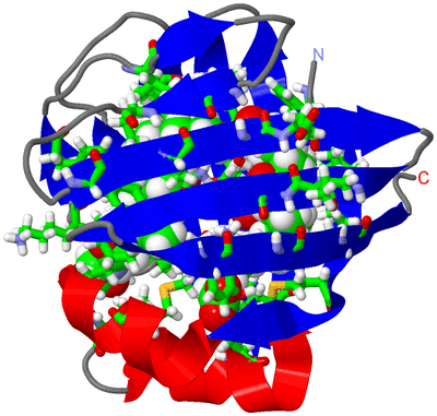 Image NMR Structure - model 1, sites