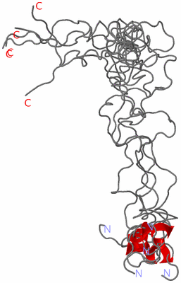 Image NMR Structure - all models