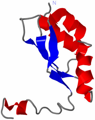 Image NMR Structure - model 1