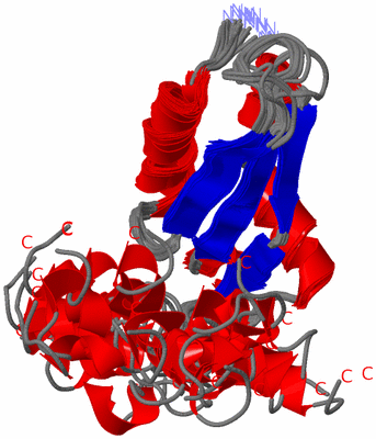 Image NMR Structure - all models