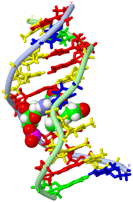 Image NMR Structure - model 1