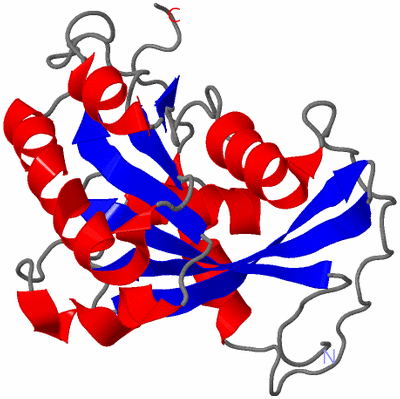 Image NMR Structure - model 1