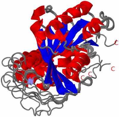 Image NMR Structure - all models