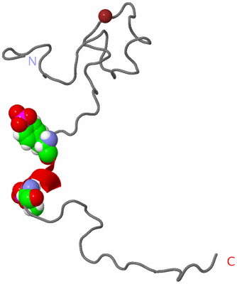 Image NMR Structure - model 1