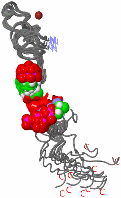 Image NMR Structure - all models