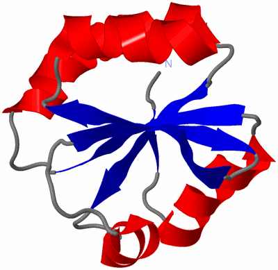 Image NMR Structure - model 1