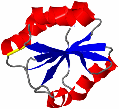 Image NMR Structure - model 1