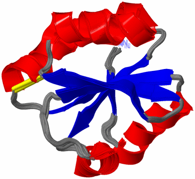 Image NMR Structure - all models