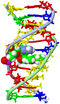 Image NMR Structure - model 1