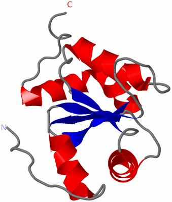 Image NMR Structure - model 1