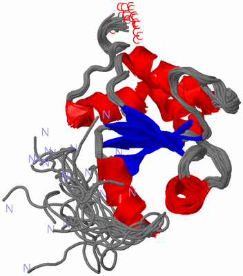 Image NMR Structure - all models