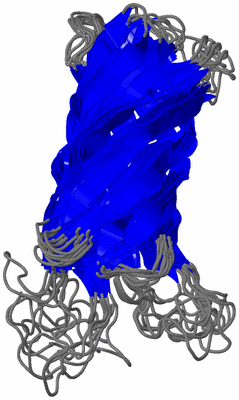 Image NMR Structure - all models