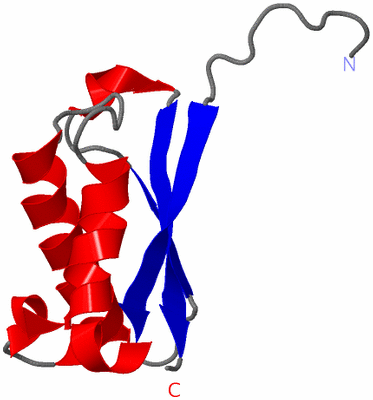 Image NMR Structure - model 1