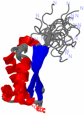 Image NMR Structure - all models