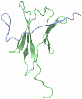 Image NMR Structure - model 1