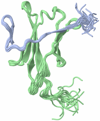 Image NMR Structure - all models