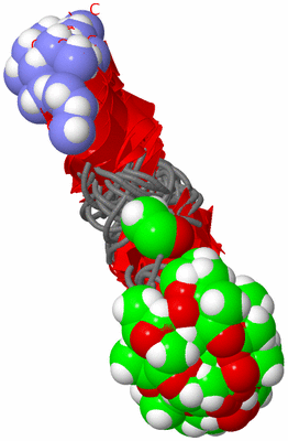 Image NMR Structure - all models