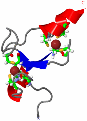 Image NMR Structure - model 1, sites