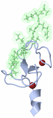 Image NMR Structure - model 1