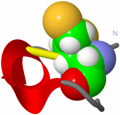 Image NMR Structure - model 1