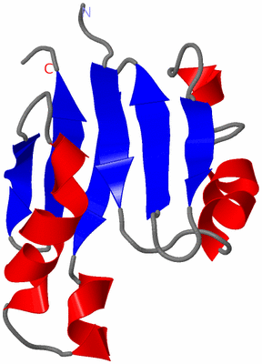 Image NMR Structure - model 1