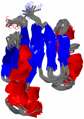 Image NMR Structure - all models