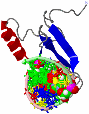 Image NMR Structure - model 1