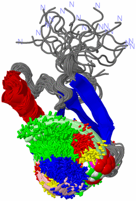 Image NMR Structure - all models