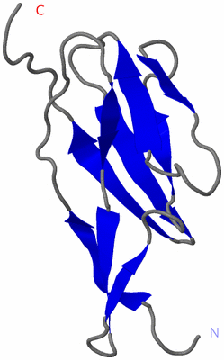 Image NMR Structure - model 1