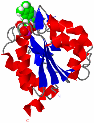 Image NMR Structure - model 1