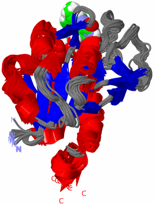 Image NMR Structure - all models