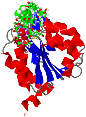 Image NMR Structure - model 1, sites