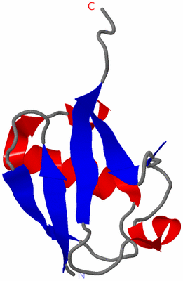 Image NMR Structure - model 1