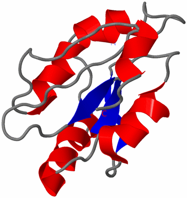 Image NMR Structure - model 1