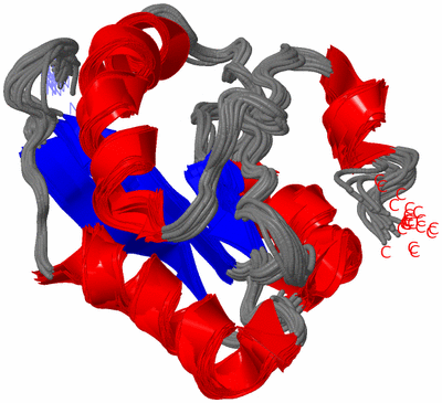 Image NMR Structure - all models