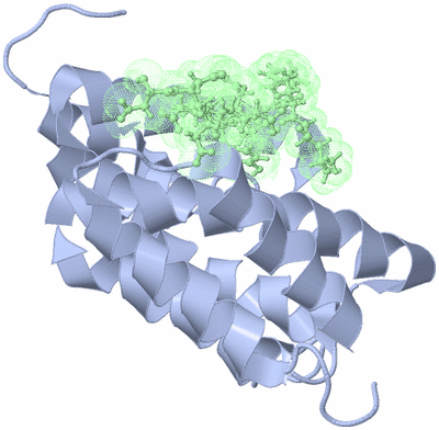 Image NMR Structure - model 1