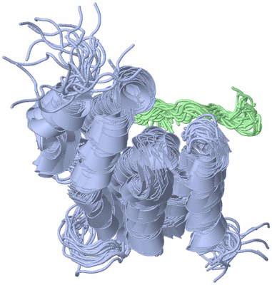 Image NMR Structure - all models