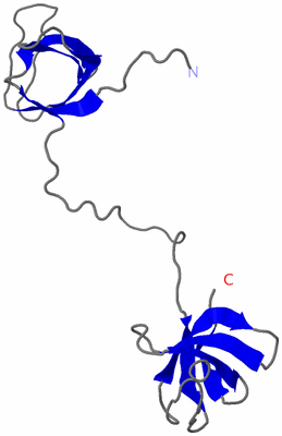 Image NMR Structure - model 1