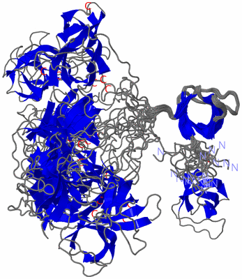 Image NMR Structure - all models