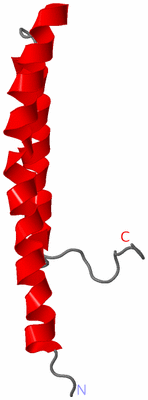 Image NMR Structure - model 1