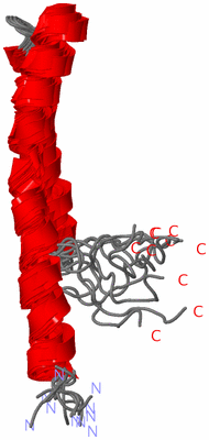 Image NMR Structure - all models