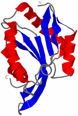 Image NMR Structure - model 1