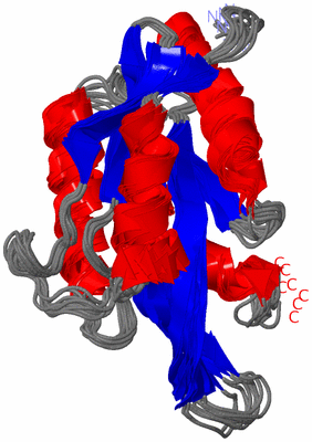 Image NMR Structure - all models