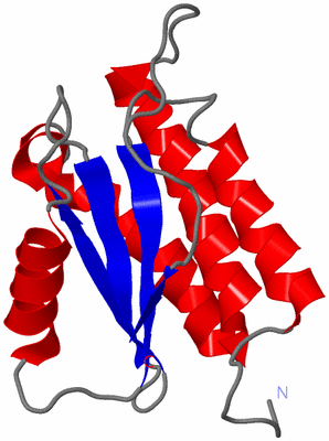 Image NMR Structure - model 1