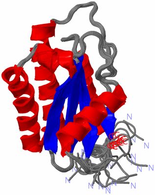 Image NMR Structure - all models