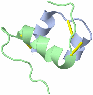 Image NMR Structure - model 1