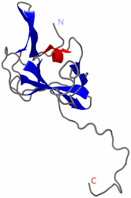 Image NMR Structure - model 1