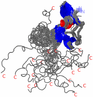 Image NMR Structure - all models