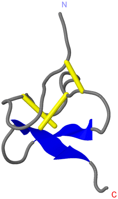 Image NMR Structure - model 1