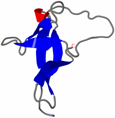 Image NMR Structure - model 1